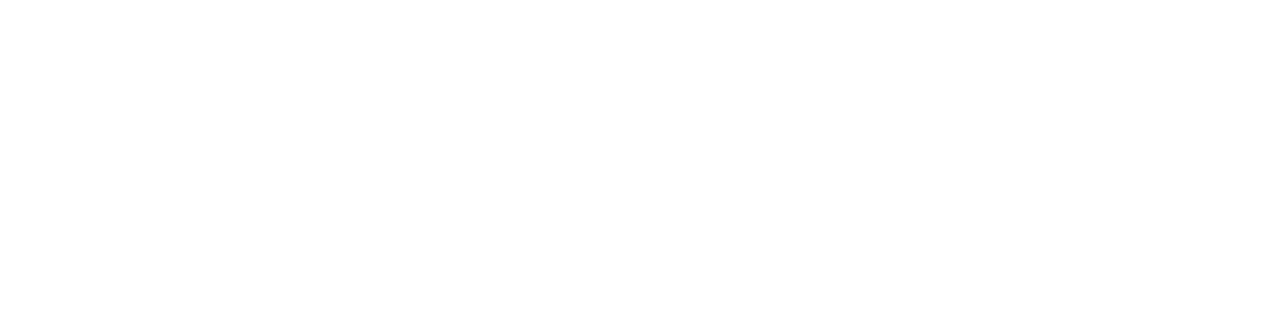 Enfoque Visual